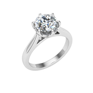 The Raina - Round Cut Solitaire Ring