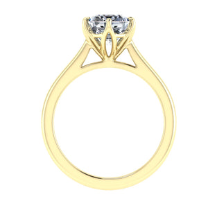 The Murphy - Emerald Cut Solitaire Ring
